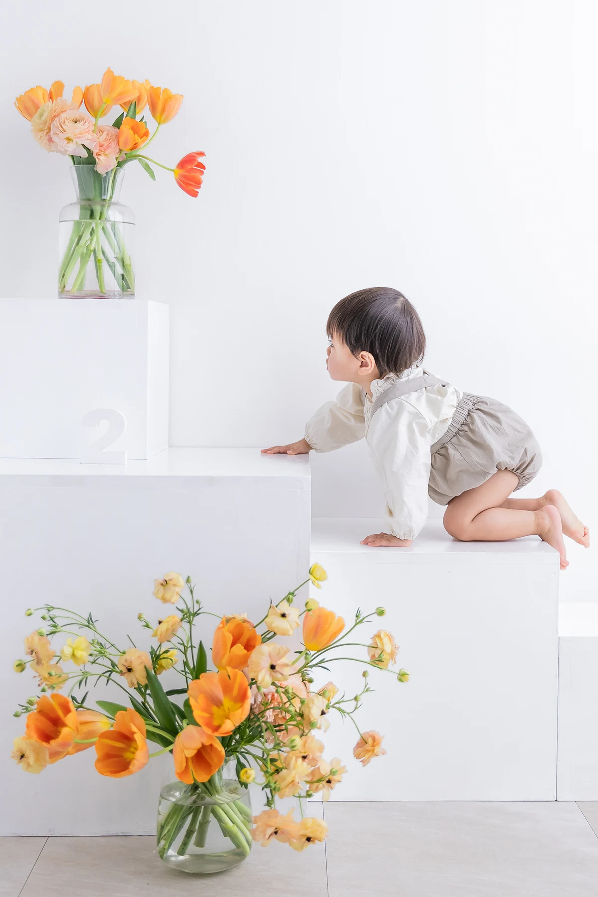 白壁サイコロ２歳